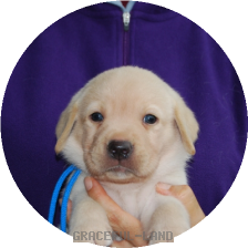 男の子(ブルー母マリー)